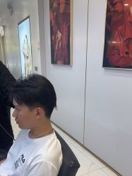 -YESIDO椰岛造型