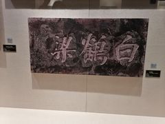 -白鹤梁水下博物馆