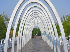 -大兴滨河森林公园