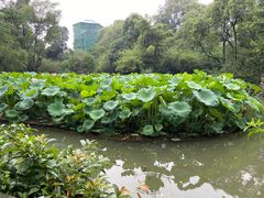 -成都杜甫草堂博物馆
