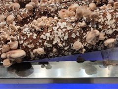 -V-ONE西雅图海鲜自助餐厅(仓山万达广场店)