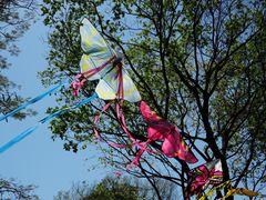 -人民公园(罗湖区)