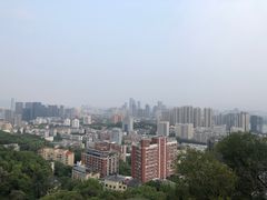 -福道