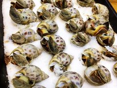 盐烤海螺-小老板海鲜酒家(董家渡店)