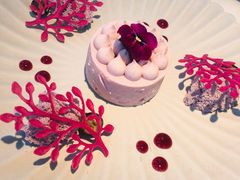 -Tomacado花厨(One ITC店)