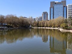 -团结湖公园