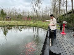 -合肥滨湖国家森林公园