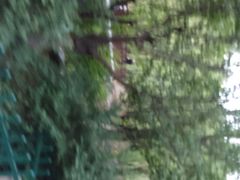 -西安市长乐公园
