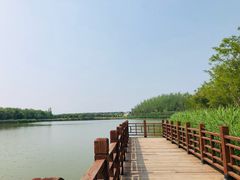 -塘沽森林公园