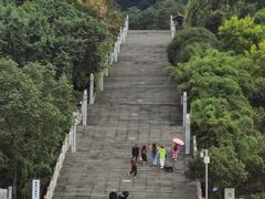 -铁山坪森林公园