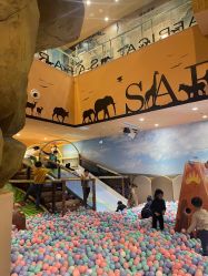 -卡通尼·Safari非洲探索乐园·生日会(金桥国际商业广场店)