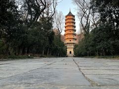 -灵谷景区