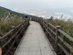 -银瓶嘴森林公园