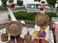 -上膳源有机农场