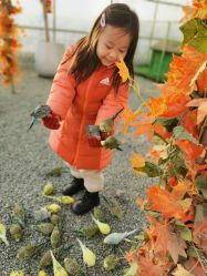 -萌宠亲子动物乐园(槐房万达店)