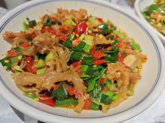 鸭掌筋-壹盏灯(蚂蚁工房店)