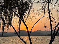 -杭州西湖柳莺里酒店·闻莺厅