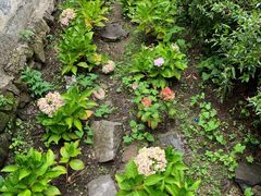 -苍山感通索道