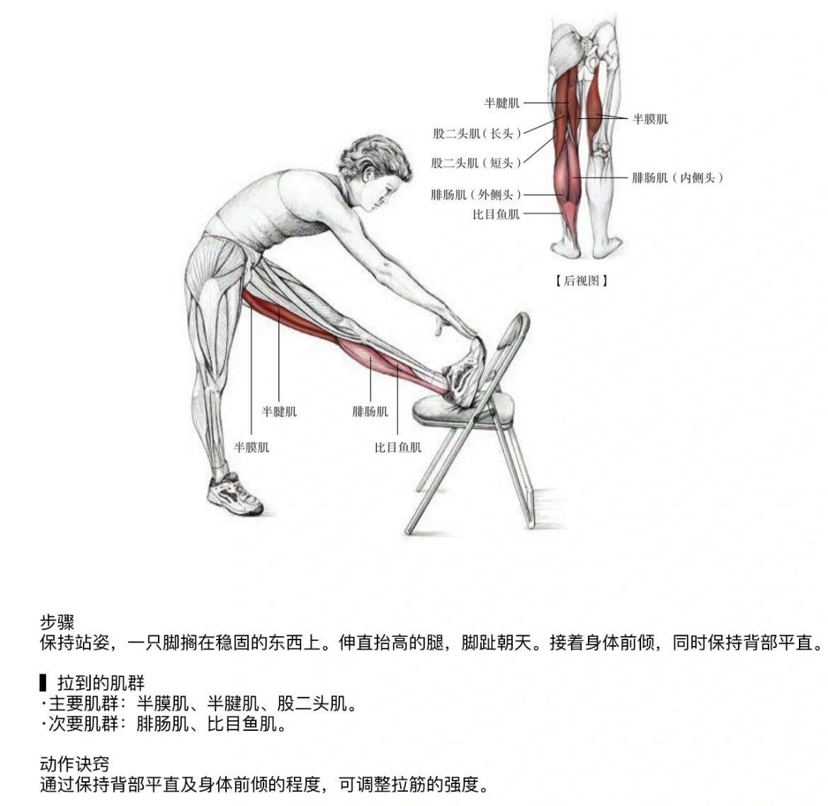 腿部拉伸
想要腿又长又细的不要错过