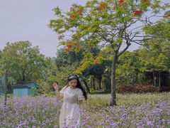 -南沙蒲洲花园