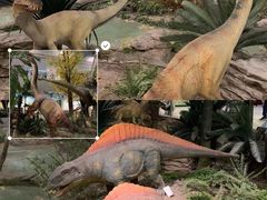 -湖南省地质博物馆