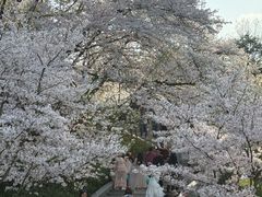 -杭州少年儿童公园