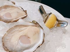 -Oyster Talks 四度蚝法餐厅