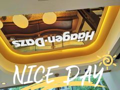 -哈根达斯(武汉天地店)