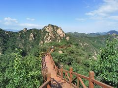 -大岭沟猕猴桃谷风景区