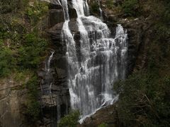 -海南热带雨林国家公园吊罗山景区