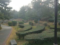 -西苑公园