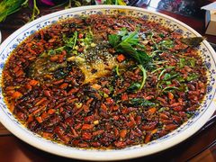 杨记招牌鱼-杨记隆府(白象街店)
