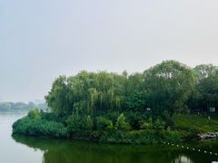 -大兴滨河森林公园
