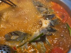 -亮欢寨快活林 酸汤鱼(仁怀店)