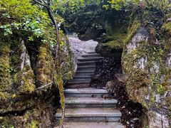 -山王坪喀斯特国家生态公园