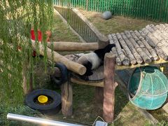 -沈阳森林动物园