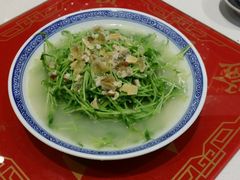 上汤豆苗-禄鼎记·多口味酸菜鱼(侨鑫店)