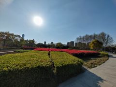 -白塘生态植物园
