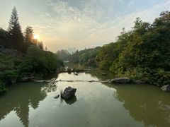 -云溪植物园