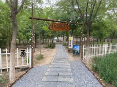 -天津东丽湖风景区