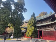 -报恩寺(平武县)