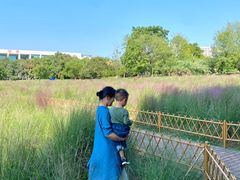 -艾溪湖湿地公园