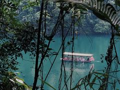 -鼎湖山风景区