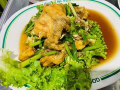 石斑鱼-T&K 海鲜