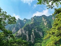 -王顺山国家森林公园