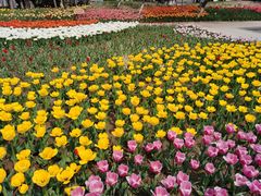 -石家庄市植物园