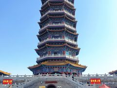 -金塔沙漠胡杨林景区