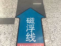 -龙阳路磁悬浮列车总站-停车场