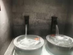 -上鸿汤泉•易营+