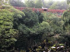 -藏龙百瀑风景区